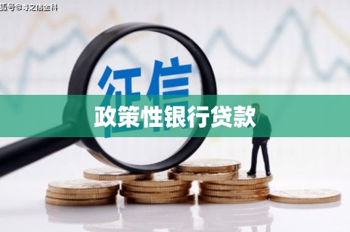石台政策性银行贷款