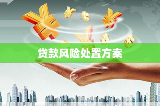 石台贷款风险处置方案