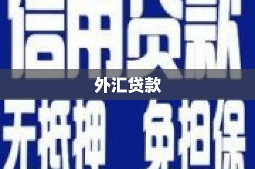 石台外汇贷款