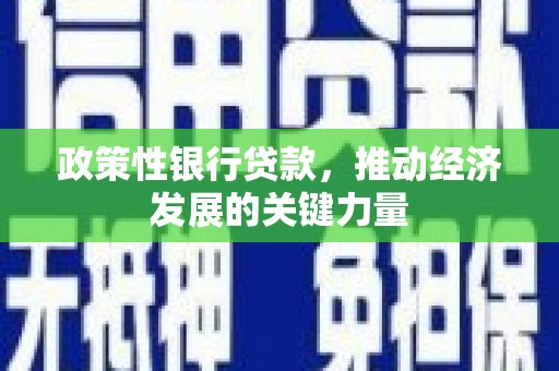 石台政策性银行贷款，推动经济发展的关键力量