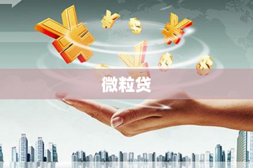 石台微粒贷