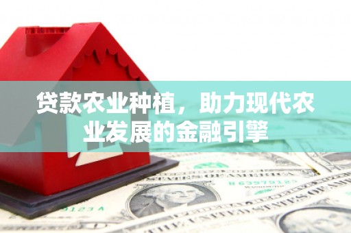 石台贷款农业种植，助力现代农业发展的金融引擎