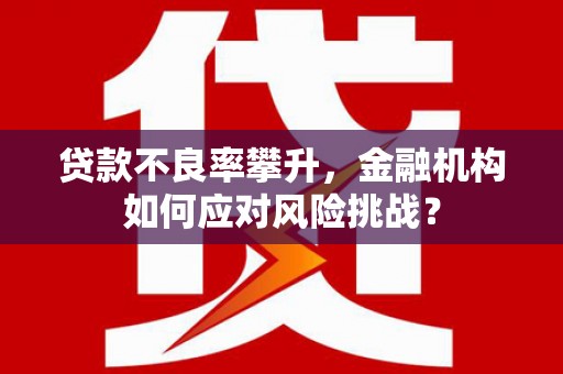 石台贷款不良率攀升，金融机构如何应对风险挑战？