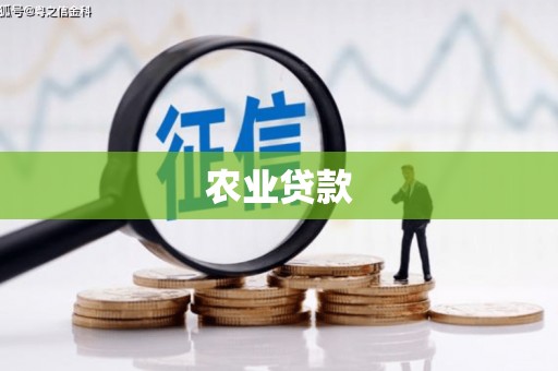 石台农业贷款