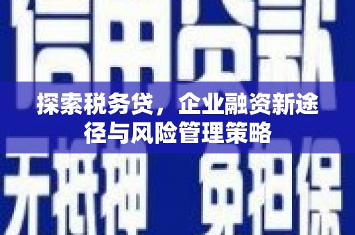 石台探索税务贷，企业融资新途径与风险管理策略