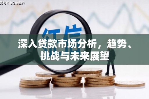 石台深入贷款市场分析，趋势、挑战与未来展望