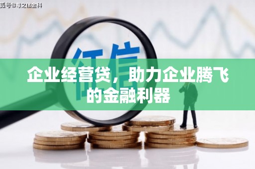 石台企业经营贷，助力企业腾飞的金融利器