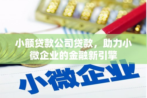 石台小额贷款公司贷款，助力小微企业的金融新引擎