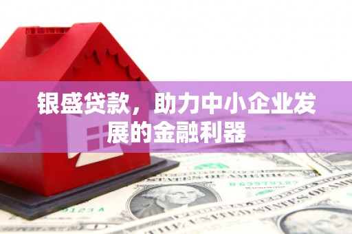 石台银盛贷款，助力中小企业发展的金融利器