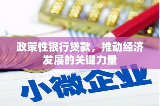石台政策性银行贷款，推动经济发展的关键力量