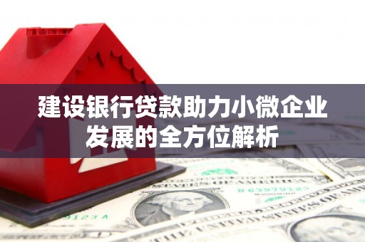 石台建设银行贷款助力小微企业发展的全方位解析