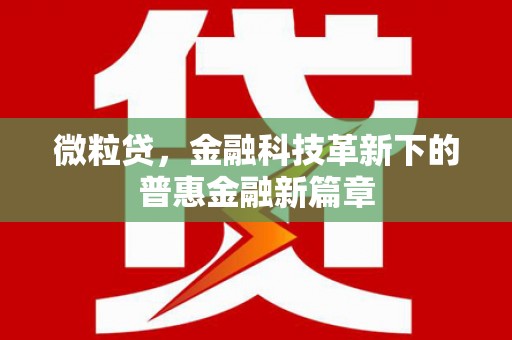 石台微粒贷，金融科技革新下的普惠金融新篇章