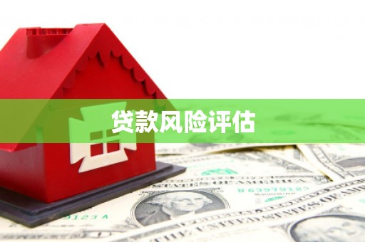 石台贷款风险评估