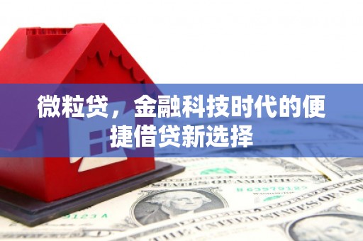 石台微粒贷，金融科技时代的便捷借贷新选择