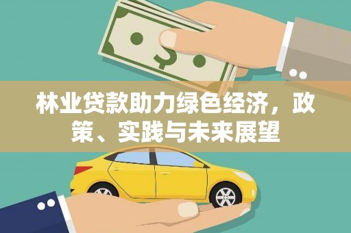 石台林业贷款助力绿色经济，政策、实践与未来展望